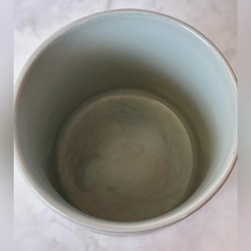 Disney shiny ceramic